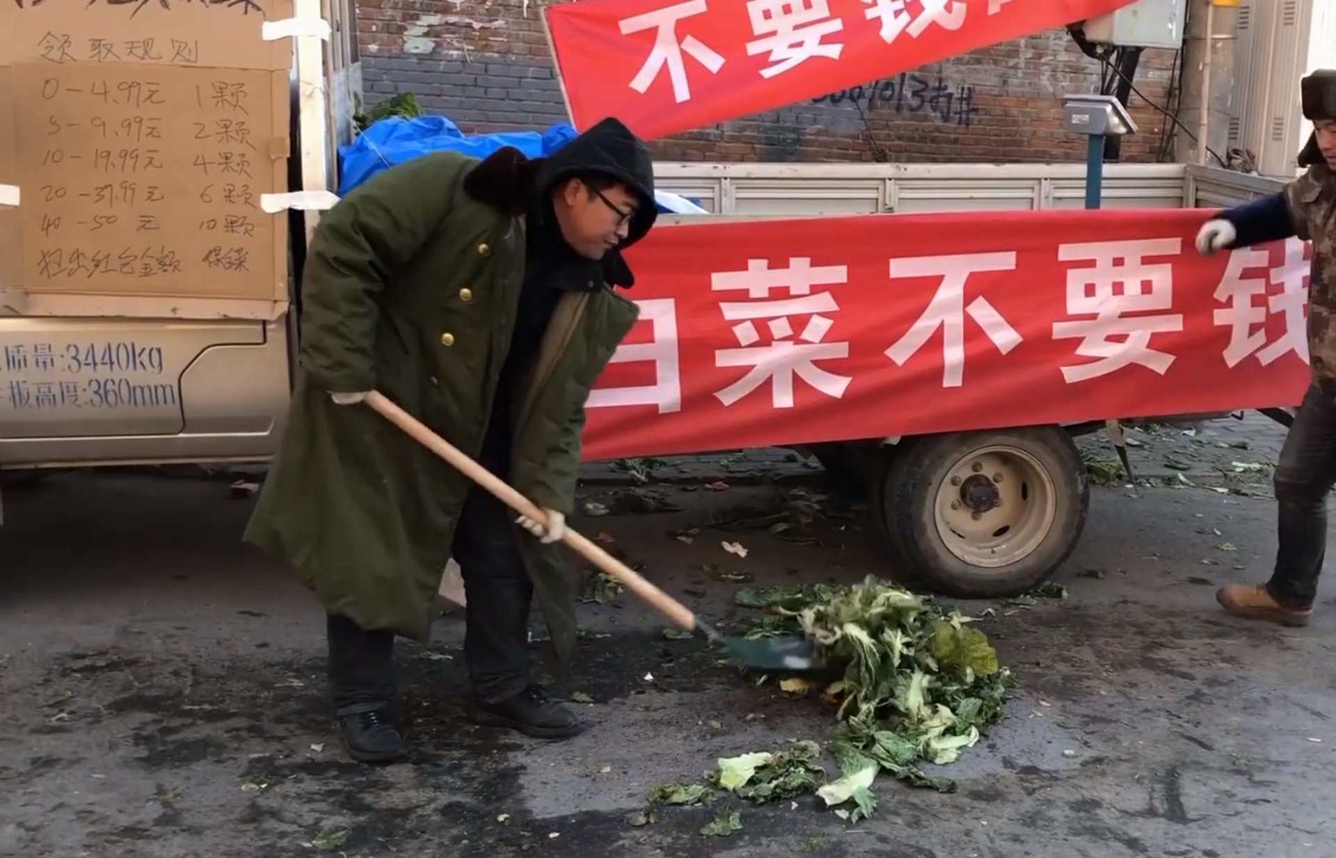 大白菜教育