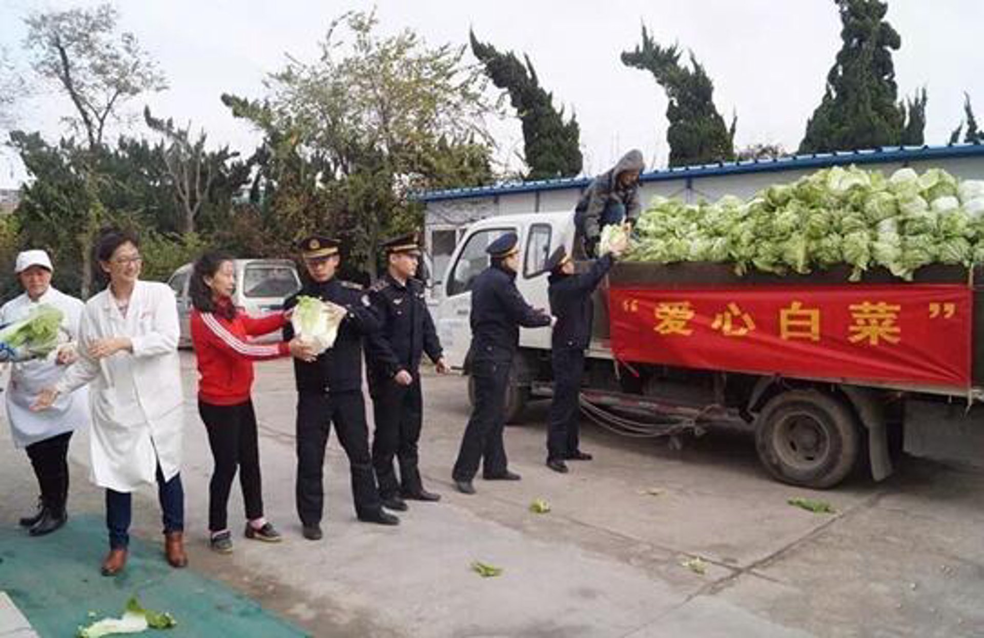 大白菜教育